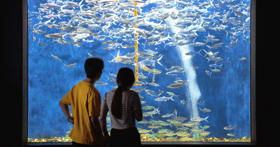 Best Romantic Things to Do in Monterey, United States for Couples