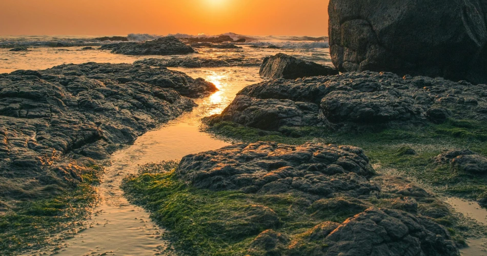 Best Free and Cheap Things to Do in Monterey, United States