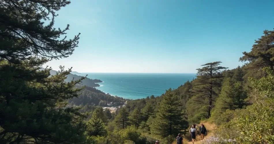Oceanside Coastal Adventure Guide: Surf, Paddle, Trek & Discover California’s Shoreline